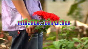 แหย่หี เสียวหี เย็ดไม่หยุด